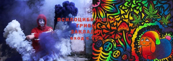 ГАЛЛЮЦИНОГЕННЫЕ ГРИБЫ Армянск