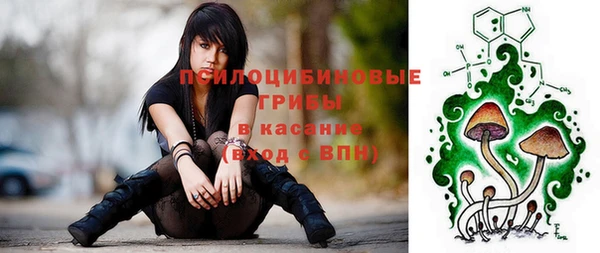 круглые Аркадак